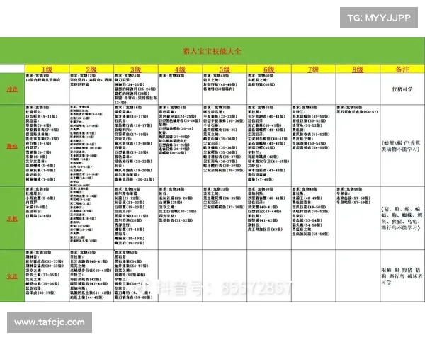 魔兽世界技能排序攻略指南
